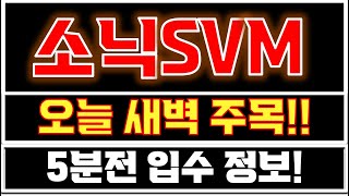 [소닉 SVM 분석] \