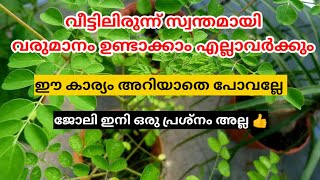 അധികം ചിലവൊന്നും ഇല്ലാതെ തന്നെ സ്ത്രീകൾക്ക് വരുമാനം ഉണ്ടാക്കാം സ്വന്തമായി 👍#business #youtube #how