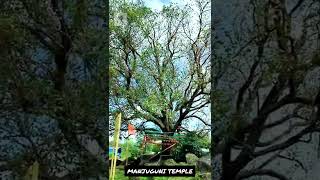 Manjuguni Temple Visit||Nature