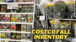 Costco Tulip Haul and Fall Inventory! Are The Tulip Bulbs Healthy?  //FlowerFanatic