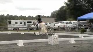 Saphiro - Cremello Lusitano Stallion. Dressage at Rosemont 2010