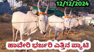 Haveri Bulls Market || ಹಾವೇರಿ ಎತ್ತಿನ ಪ್ಯಾಟಿ || Every Thursday Morning 6am Market Start || #haveri