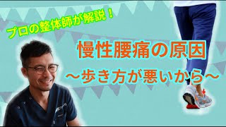 【解説】くり返す慢性腰痛の原因は歩き方が悪いから～大阪市東住吉区駒川中野・針中野の整骨院ファースト～