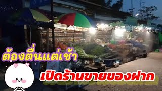 EP. 2 ใช้ชีวิตที่เขาค้อ ตื่นแต่เช้าเพื่อมาเปิดร้านเตรียมของขาย ร้านของฝากตากะยาย