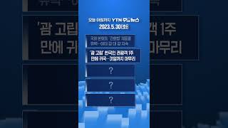 오늘 아침까지 YTN 주요뉴스 2023.5.30(화) #shorts