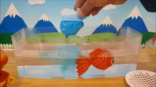 Surprised by a fish! Play in the water! Anpanman anime❤Toy Toy Kids toys kids animation anpanman 1