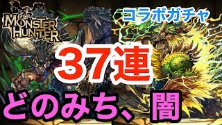 実況【パズドラ】モンハンコラボガチャ37連したら最後に奇跡の星7が２連発！！