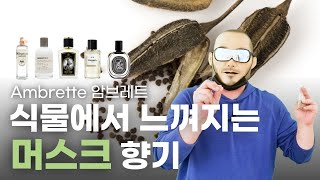 머스크 향기를 식물에서 만든다? 암브레트(Ambrette) 향기연구소 + 향수리뷰 | 쎈스쟁이