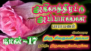 அகிலத்திரட்டு அம்மானை பாராயணம் நாள்-17 | Akilathirattu Ammanai Explanation Day-17 | Namathu Ayya