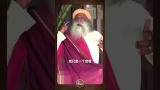 如何显化你想要的 #shorts #成功 #manifestation #sadhguru #success #successmindset