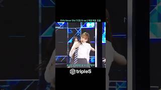 Girls Never Die (12인 B ver) | tripleS | 정하연 파트 모음