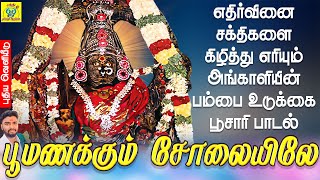 எதிர்வினை சக்திகளை கிழித்து எரியும் அங்காளியின் பம்பை உடுக்கை பூசாரி பாடல் | ஜெயக்குமார் பூசாரி