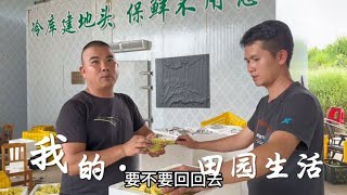 徐姐割牛草伤到脚，想要大哥回去帮忙，小九问大哥到底想不想回去