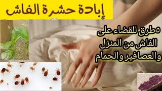 القضاء علي حشرة الفاش والبق في ثواني 5 طرق الفاش في الطيور وفي المنزل والسرير
