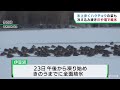 冷え込み続く　宮城県では川や沼が凍る　仙台・広瀬川　渡り鳥の飛来地・伊豆沼