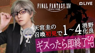 【FF14】ギスったら即終了！ガチ初見召喚で野良1-4層通しアルカディア零式【2.5次元VTuber / 天宮圭】