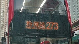 [愛車⁉️] 273 華明↻粉嶺站 KMB 縮時行車片