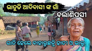 ଭାତୁଡ଼ି ଆଦିବାସୀ ଙ୍କ ଗାଁ ବଲାଣିପସୀ || Bathudi Tribal People of Keonjhar || Help India Odisha