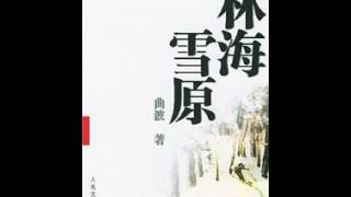 袁阔成评书《林海雪原》45回全 24