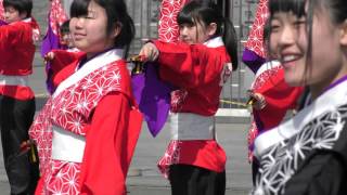 山村国際高等学校鳴子連（②＠2016　レッツゴーよさこいin聖天宮