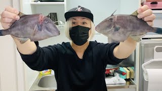 この魚、どっちが鮮度いいかわかりますか？【ウマヅラハギ】