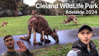 Заповедник CLELAND WILD LIFE в Аделаиде. ОБАЛДЕЛИ от ПРИРОДЫ АВСТРАЛИИ.Обзор Mantra Hotel в Аделаиде