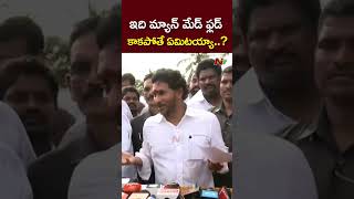 ఇది మ్యాన్ మేడ్ ఫ్లడ్ కాకపోతే ఏమిటయ్యా..? : YS Jagan l NTV