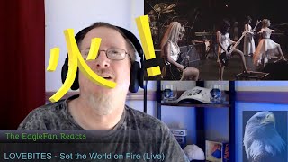 EagleFan Reacts to Set the World on Fire (Live) by LOVEBITES - Amazing!!!