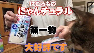 猫の餌・無一物の紹介とニャンコ達によるレビュー（笑）