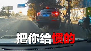 交通事故合集：把你给惯的