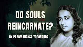 Paramahansa Yogananda: Do Souls Reincarnate? Explains the Truth Behind Reincarnation