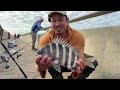 florida’s most challenging fish to catch sheepshead fishing methods