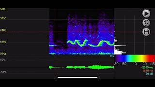 SpectraMania Demo - Audio Spectrum Analyzer Software for iPhone/iPad - iOS App. Real Sound Analyzer