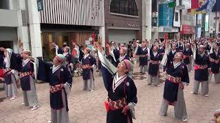 上總組（よさこい祭り2013全国大会）