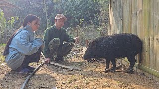 Co Nhi's joy and happiness when buying a pig