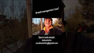 Breath management: how? belcanto4u.vocalcoaching@gmail.com #breath #support #voice #singing #opera