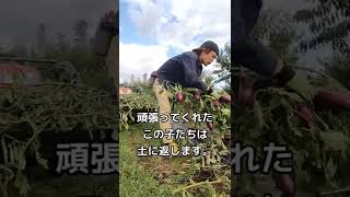 脱サラして農家３年目。果樹や野菜を育てて生計をたててます。