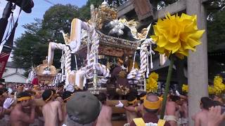 播州の秋祭り 浜の宮天満宮 須加 本宮 宮入～境内練り 2017.10.09