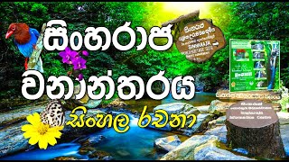 සිංහරාජ වනාන්තරය l පෙරහුරු රචනා l sinharaja wanantharaya l scholarship sinhala essay l forest in 🇱🇰