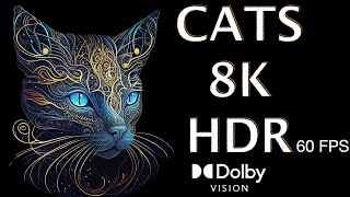 Cats  8K HDR