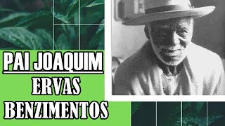 Pai Joaquim - Ensinamentos de Ervas e Benzimento.