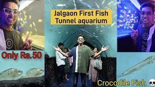 Jalgaon first Underwater Fish Tunnel aquarium/ Aas vat ki dubai la aalo ahe 😍