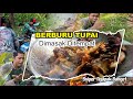 Berburu Tupai (squirrel). Langsung Masak Di hutan