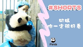 奶媽你一定很好看 | iPanda熊貓頻道 #Shorts