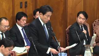 H26.02.21 衆議院 安全保障委員会