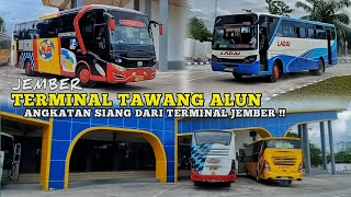 MEMANTAU ANGKATAN SIANG DARI TERMINAL JEMBER 🔥 MENGGANAS‼️