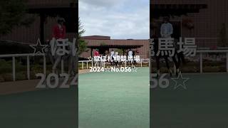 ☆ほぼ札幌競馬場2024☆No.056☆8月18日☆ #horse  #サラブレッド #馬 #競馬場 #札幌競馬場 #誘導馬