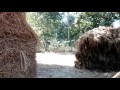 durgapur most beautiful silent village environment. must watch