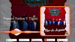 Popurrí Toritos Y Tigres | Gregorio Astudillo | Flor De Jazmín | Odisa Global Music