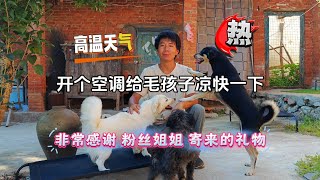 高温天气，开空调给毛孩子凉快一下，再去街上取姐姐寄来的礼物【204】